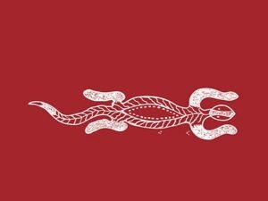 bundjalung aboriginal logodesign symbol2