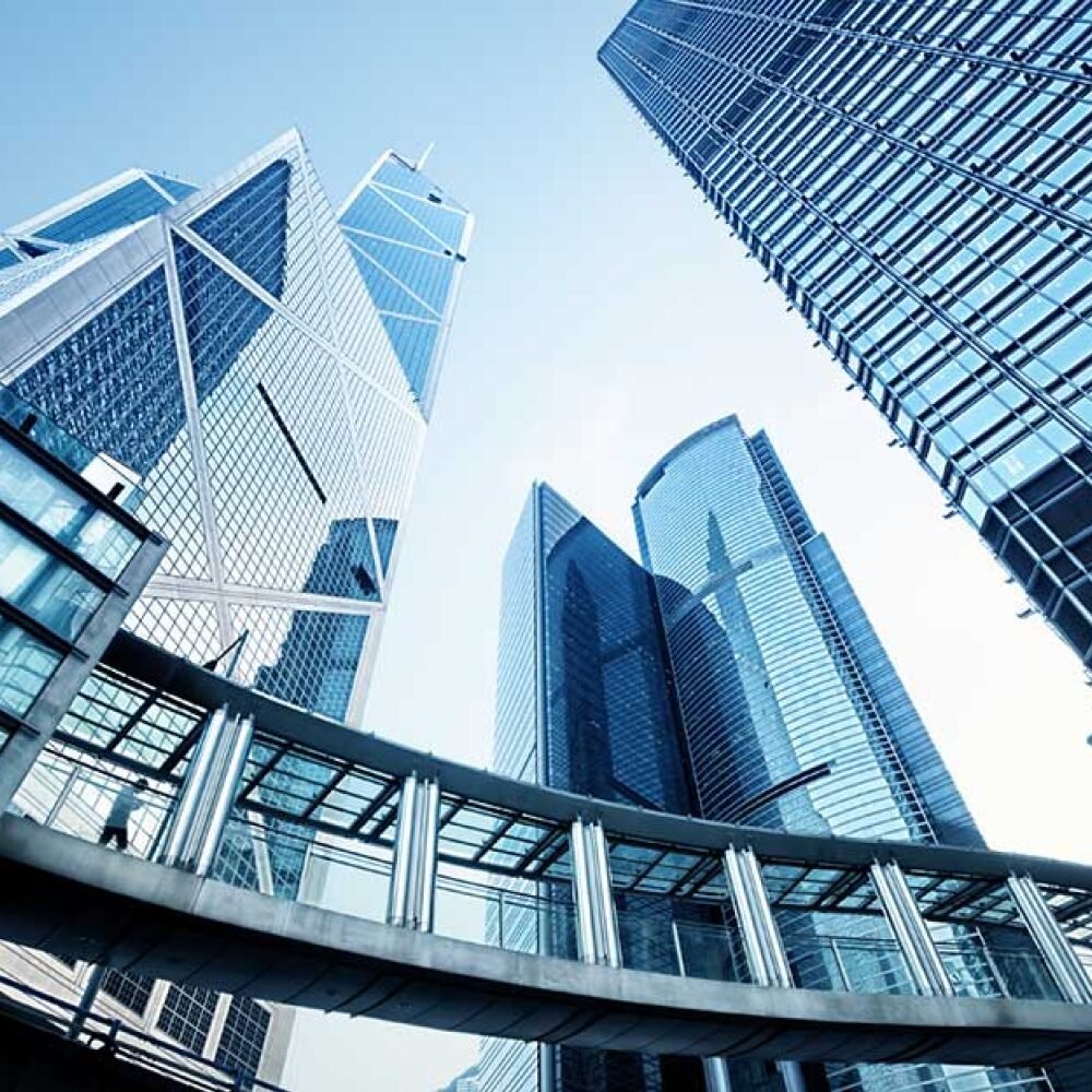 Industries We Serve: Our Expertise Areas 5 lazy