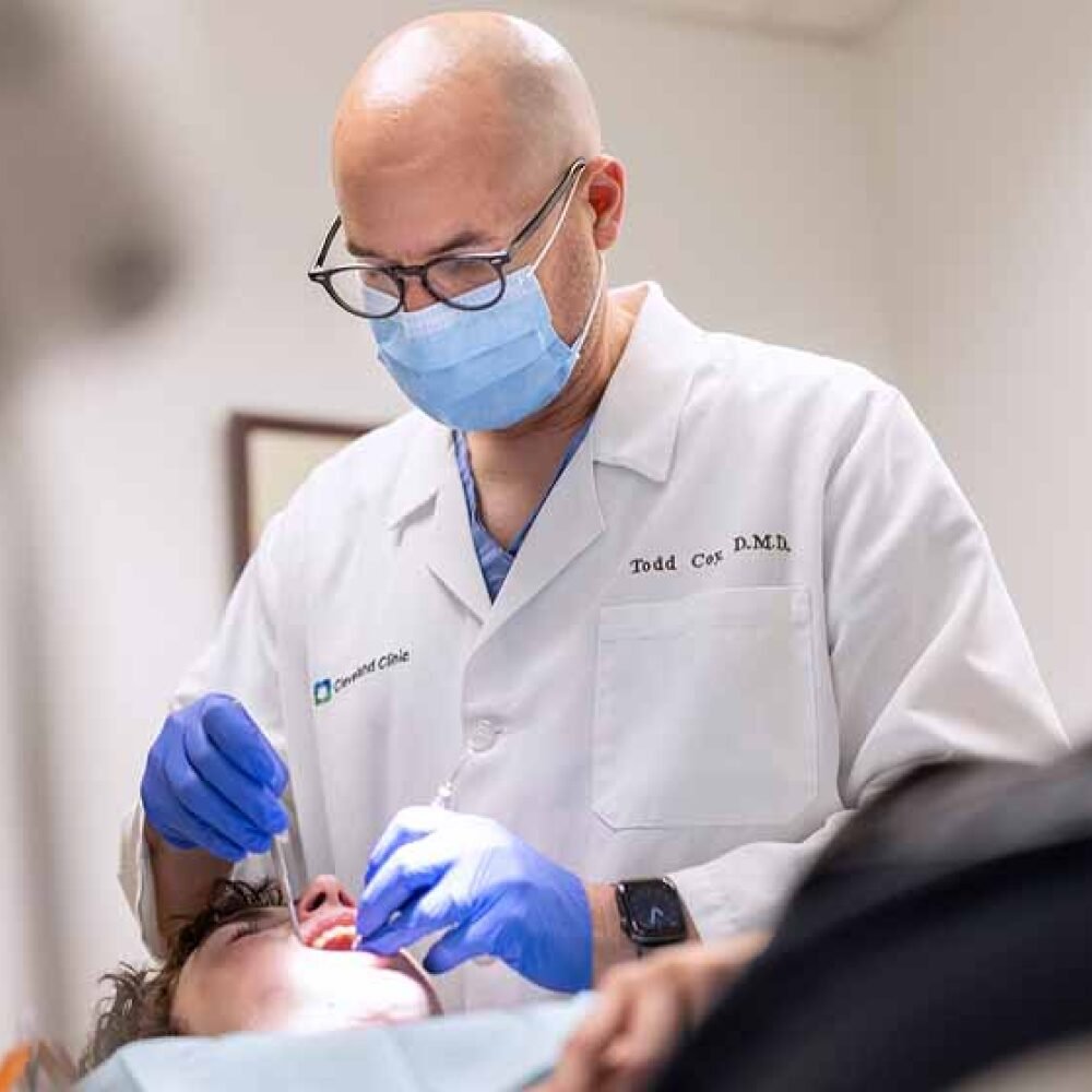 Industries We Serve: Our Expertise Areas 3 lazy